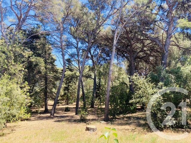Afficher la photo en grand maison à vendre - 6 pièces - 150.0 m2 - LA LONDE LES MAURES - 83 - PROVENCE-ALPES-COTE-D-AZUR - Century 21 Agence Bordenave